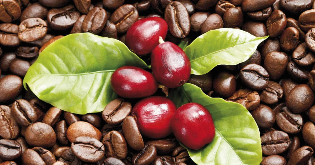 Harga Kopi Dunia Mengalami Kenaikan pada April 2024