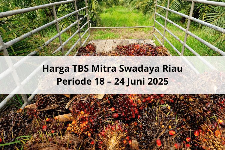 Lah, Giliran Harga TBS Mitra Swadaya Riau yang Ambruk untuk Periode 18 – 24 Juni 2025