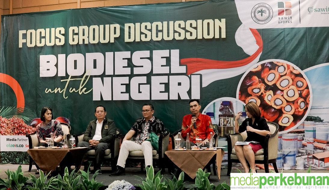 Sektor Hulu Sawit Kunci Keberlanjutan Program Biodisel