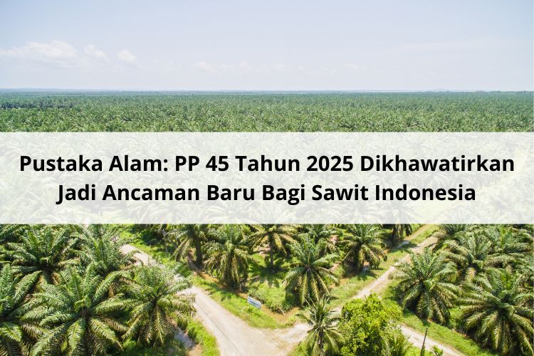 Pustaka Alam: PP No 45 Tahun 2025 Jadi Ancaman Baru Bagi Sawit Indonesia