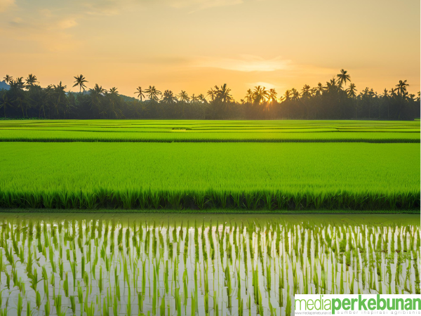 Percepatan Swasembada Pangan, Kementan Gencarkan Pemulihan Air dan Iklim