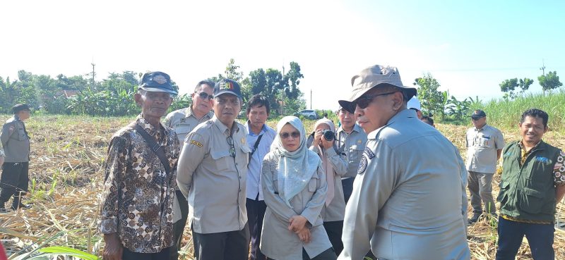 Kementan ke Cirebon