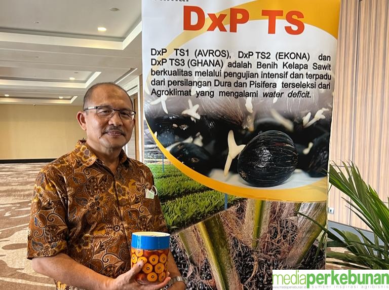 TANIA SELATAN (WILMAR GROUP) DUKUNG PSR, SEDIAKAN BENIH DAN PENDAMPINGAN PEMBIBITAN UNTUK PETANI