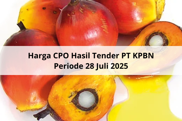 Mendekati Rp 14.500 Harga CPO Hasil Tender PT KPBN Periode 28 Juli 2025