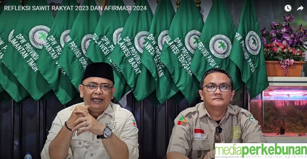 Apkasindo Mencatat Harga TBS 2023 Menurun 13,4 Persen