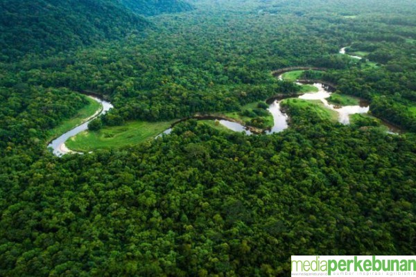 Pengukuhan Kawasan Hutan Mesti Melalui Proses