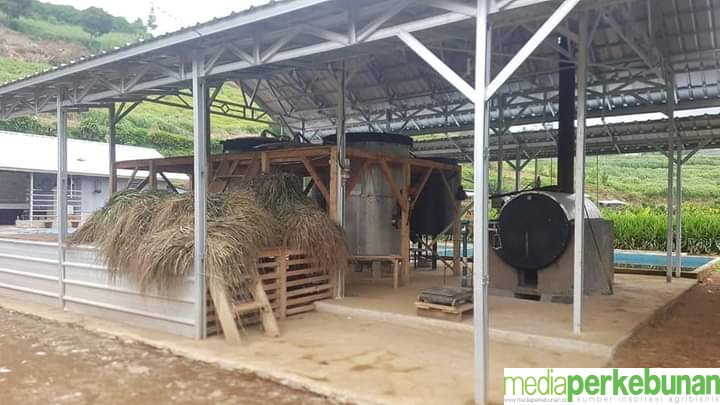 PROSPEK  BAGUS, DITJENBUN KEMBANGKANGKAN SERAI WANGI