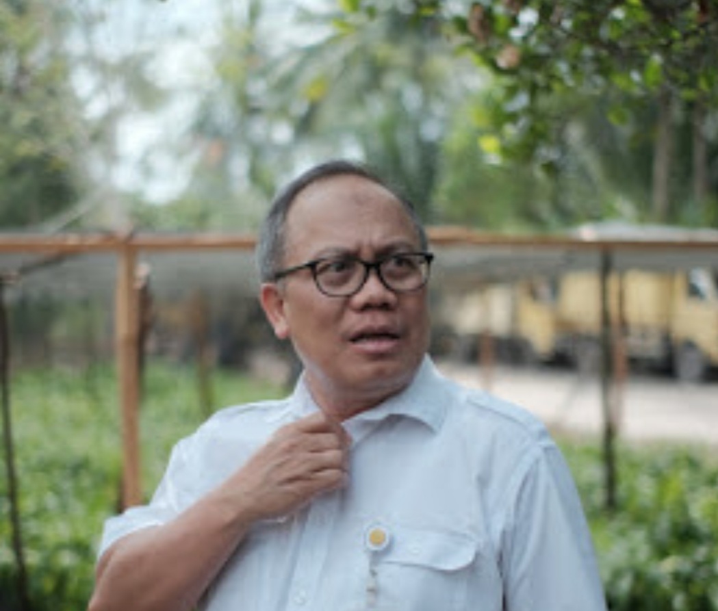NTP PERKEBUNAN RAKYAT NAIK TINGGI SEKALI