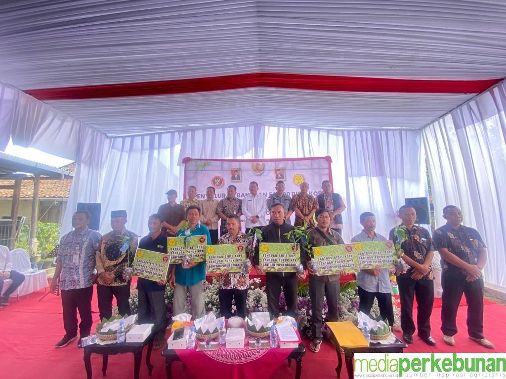 Kementan Salurkan Bantuan Benih 50 Ribu Kopi Arabika Bersama BNPT dan Pemda