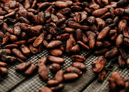 Harga Referensi Biji Kakao Turun 0,73 Persen pada Periode September 2025