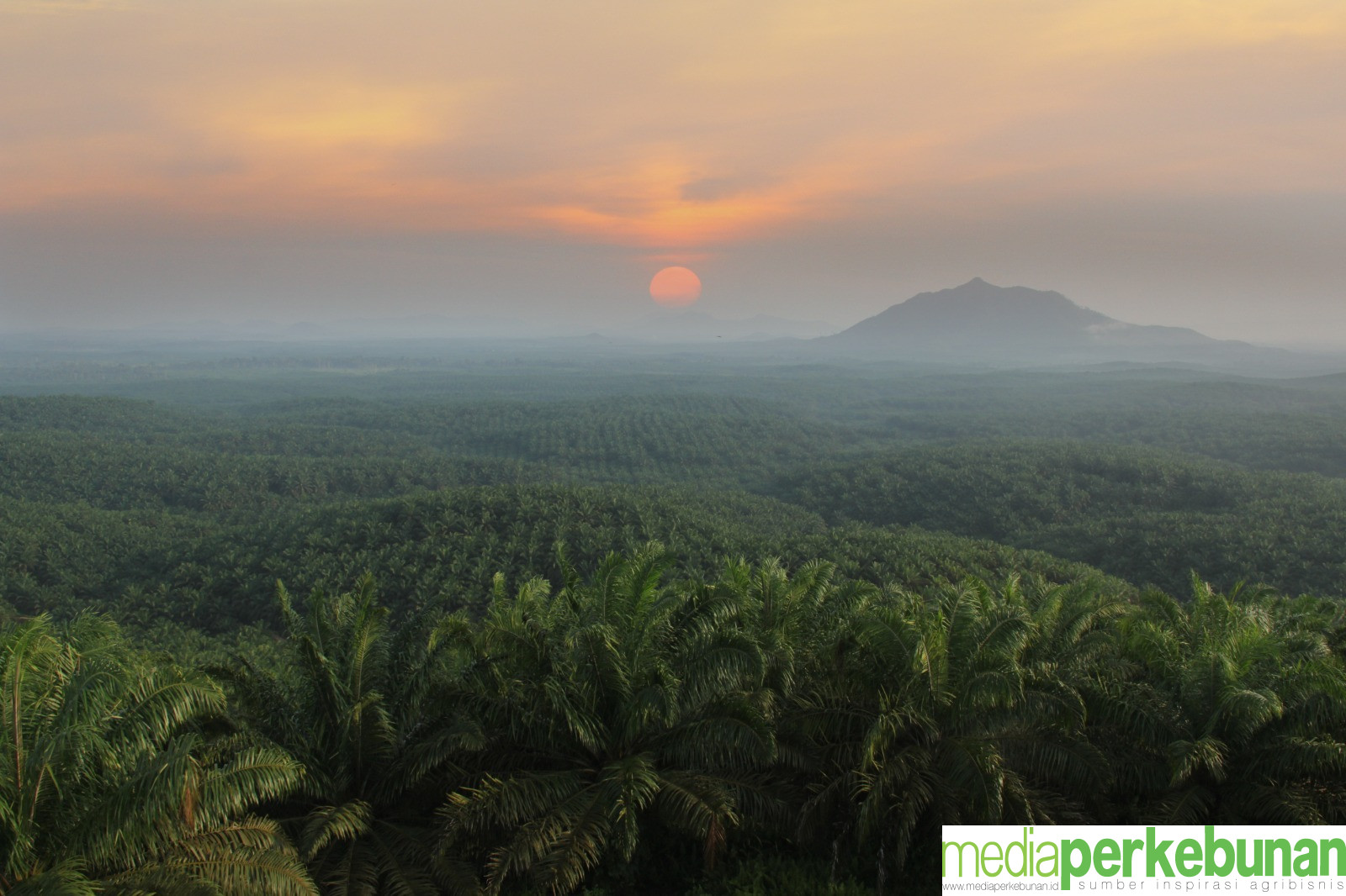 Astra Agro Ikut Berkontribusi dalam Mengentaskan Kemiskinan di Aceh
