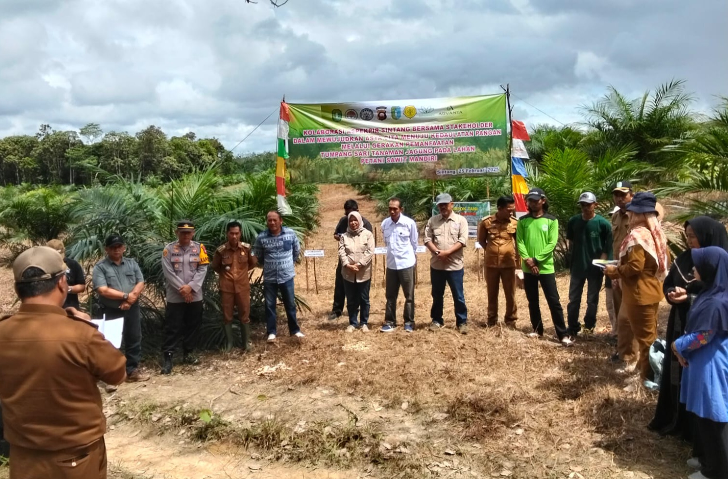 Lahan Tidur Jadi Ladang Emas! Sukses Panen Padi Gogo, Jagung, dan Sorgum di Bengkayang