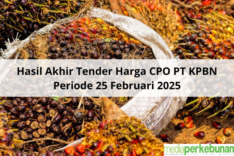 Sempat Happy tapi Begini Hasil Akhir Tender Harga CPO PT KPBN Periode 25 Februari 2025