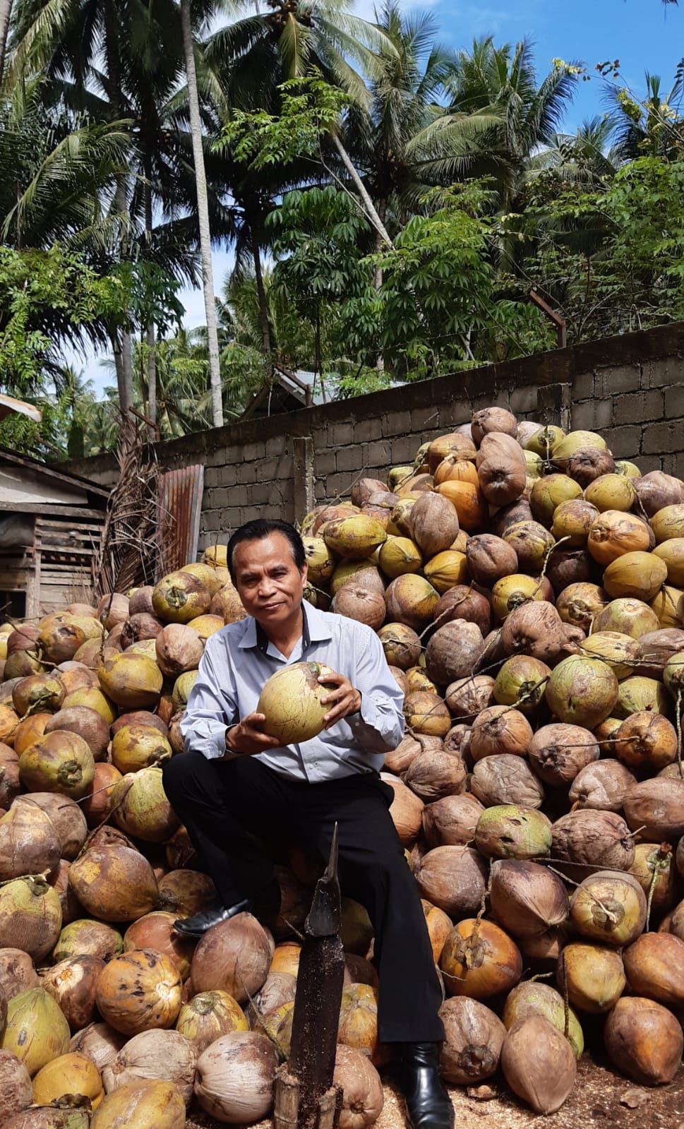KELAPA RENTAN TERHADAP PERUBAHAN IKLIM