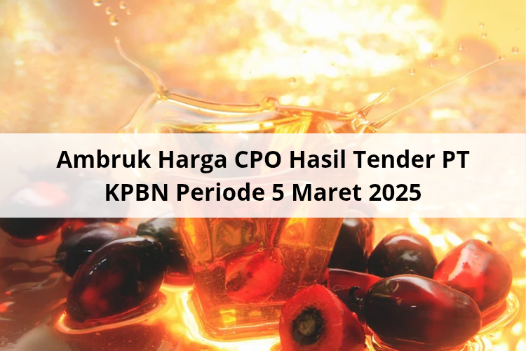 Nyaris Sepekan Terpuruk, Kini Merangkak Naik Harga CPO Hasil Tender PT KPBN Periode 5 Maret 2025