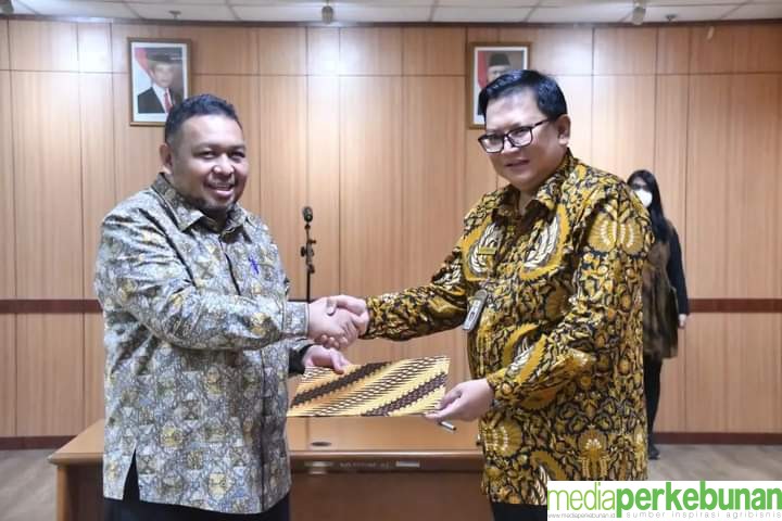AWAL MEI, DIREKTORAT TANAMAN KELAPA SAWIT DAN TANAMAN PALMA LANGSUNG KEJAR TARGET PSR