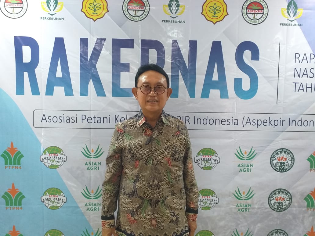 Ketidakpastian Hukum Berlanjut, Produksi Sawit Tahun Ini Bisa Turun 1-1,5 Juta Ton