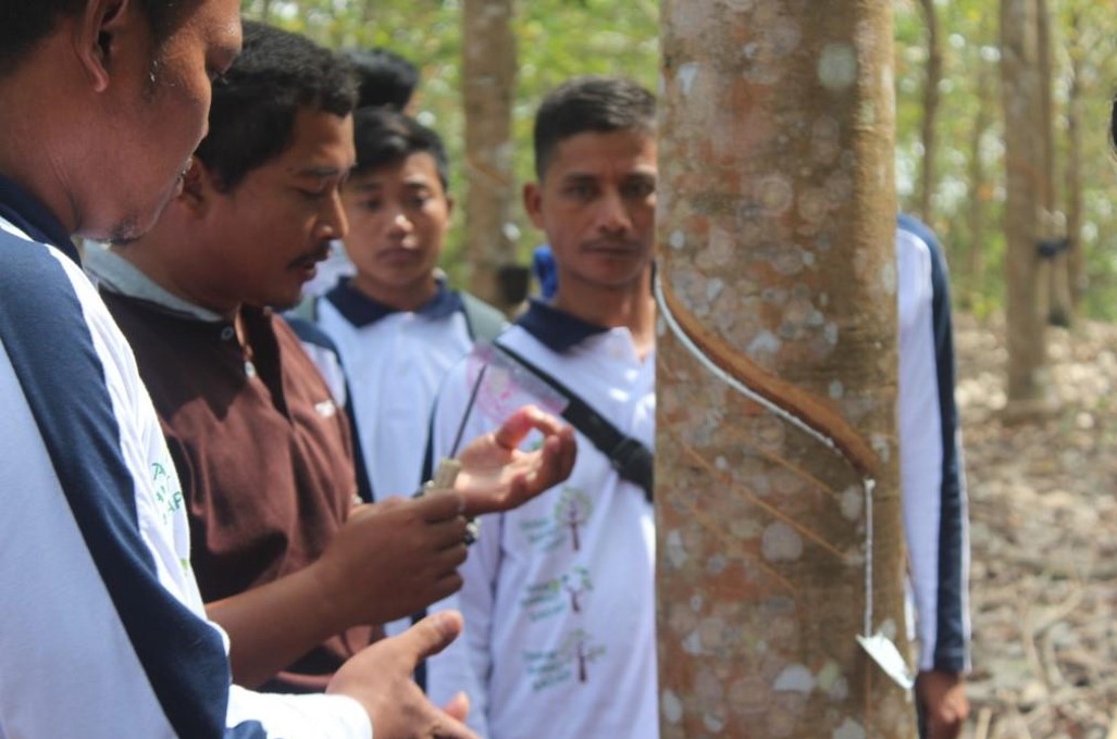 DI INDONESIA &GREEN SUDAH BIAYAI KARET DAN SAWIT