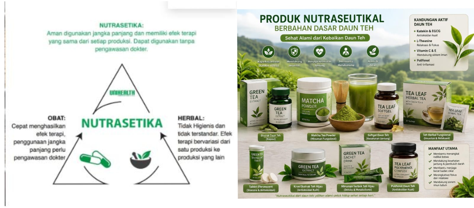 Penjelasan dan bentuk produk nutraseutikal berbahan dasar pucuk teh