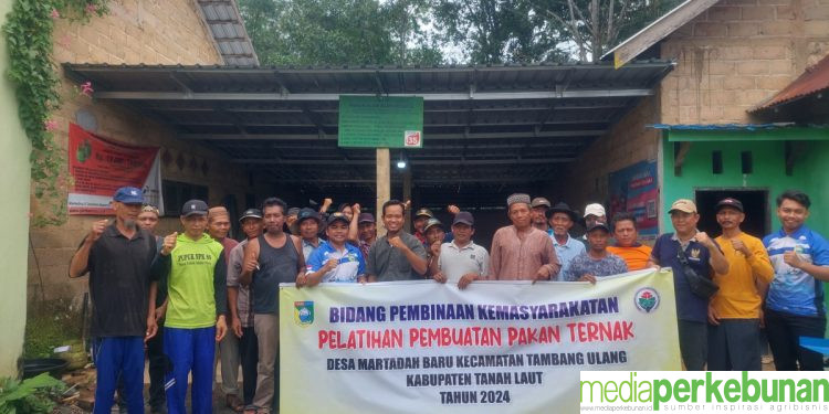 Ruminansia Semakin Sehat Sehat Berkat Bungkil Sawit