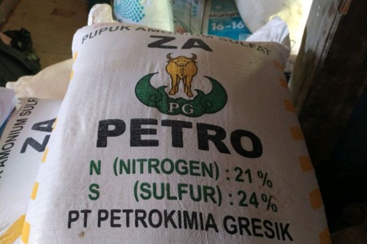 Mulai September 2025, Petani Tebu Bisa Tebus Pupuk ZA Bersubsidi