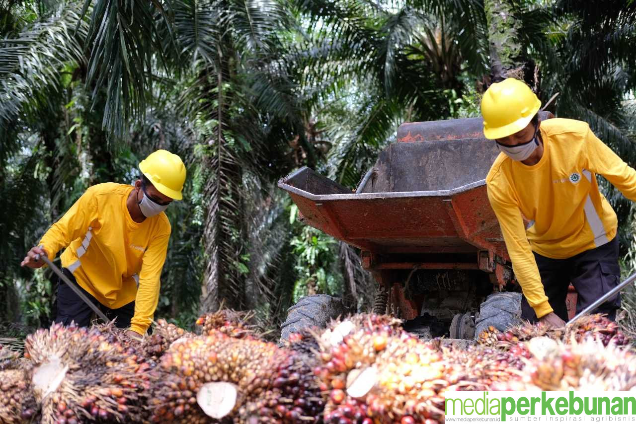 Astra Agro Gencar Jalin Kerjasama Riset