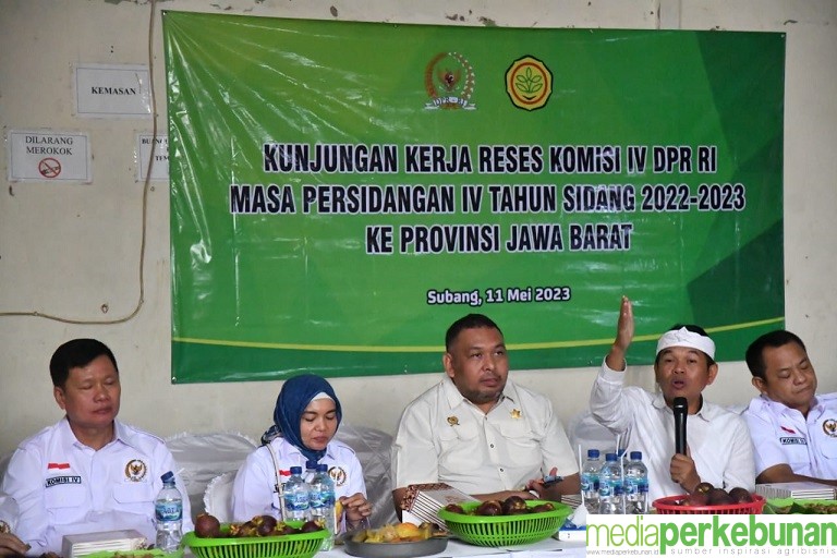 Bersinergi Perkuat Produksi dan Pemberdayaan Pekebun