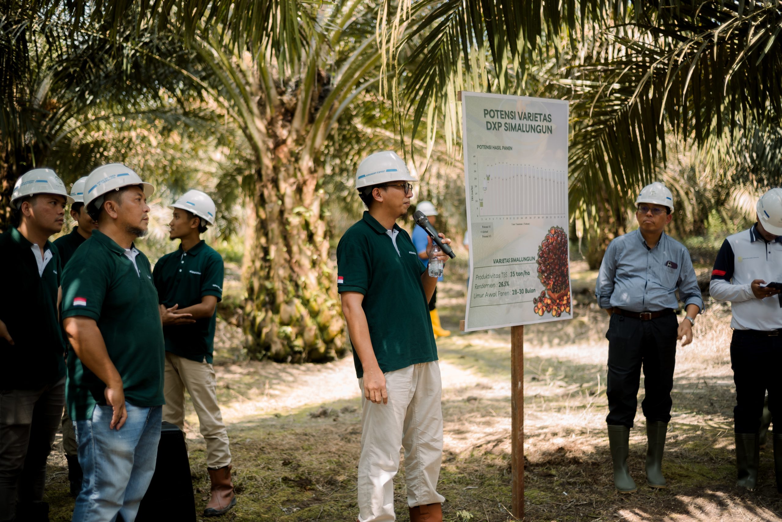Varietas Simalungun: Benih Sawit Unggul Hasil Kolaborasi PT Astra Agro Lestari dan PPKS Medan
