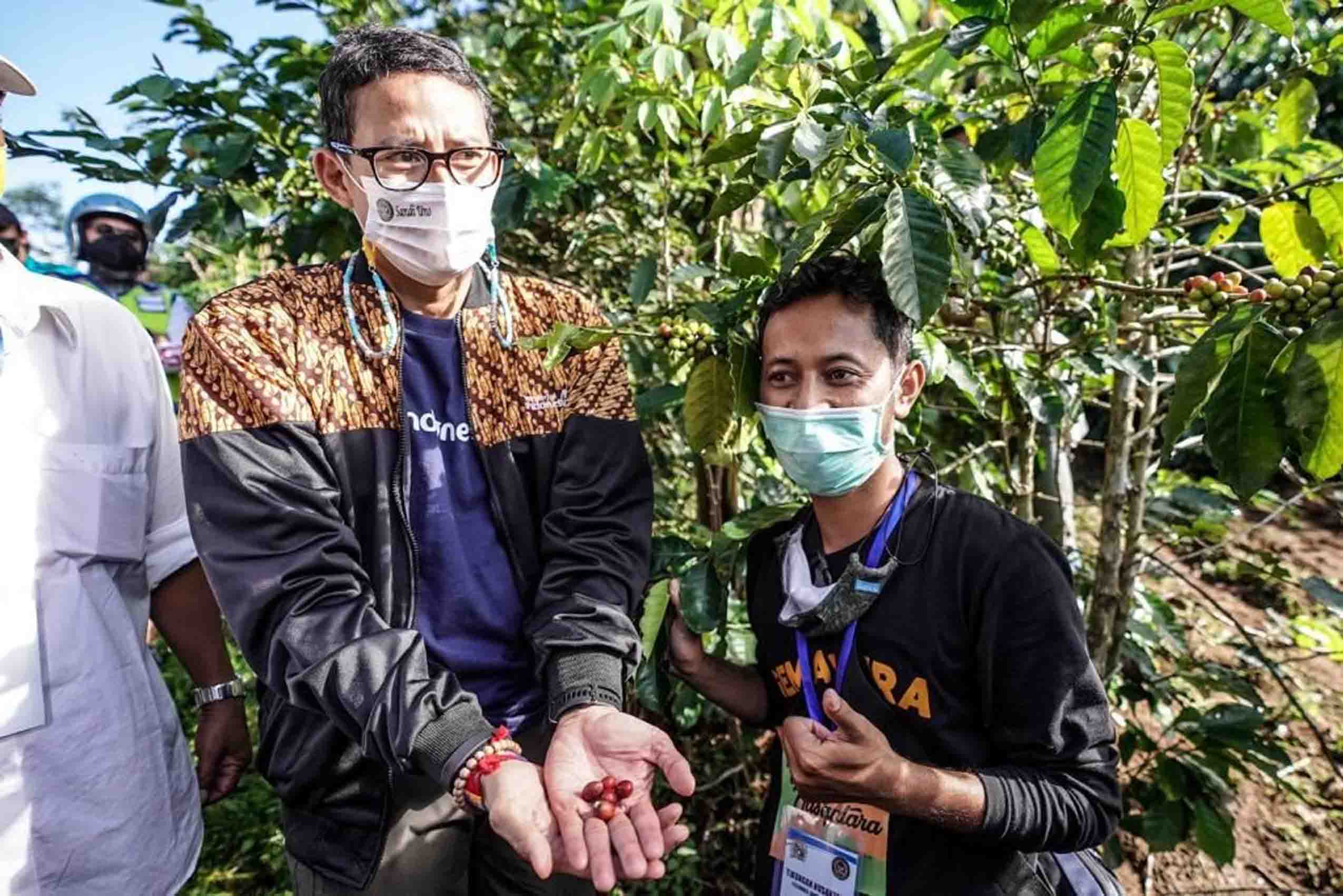 Kopi Kaliangkrik asal Magelang Naik Kelas