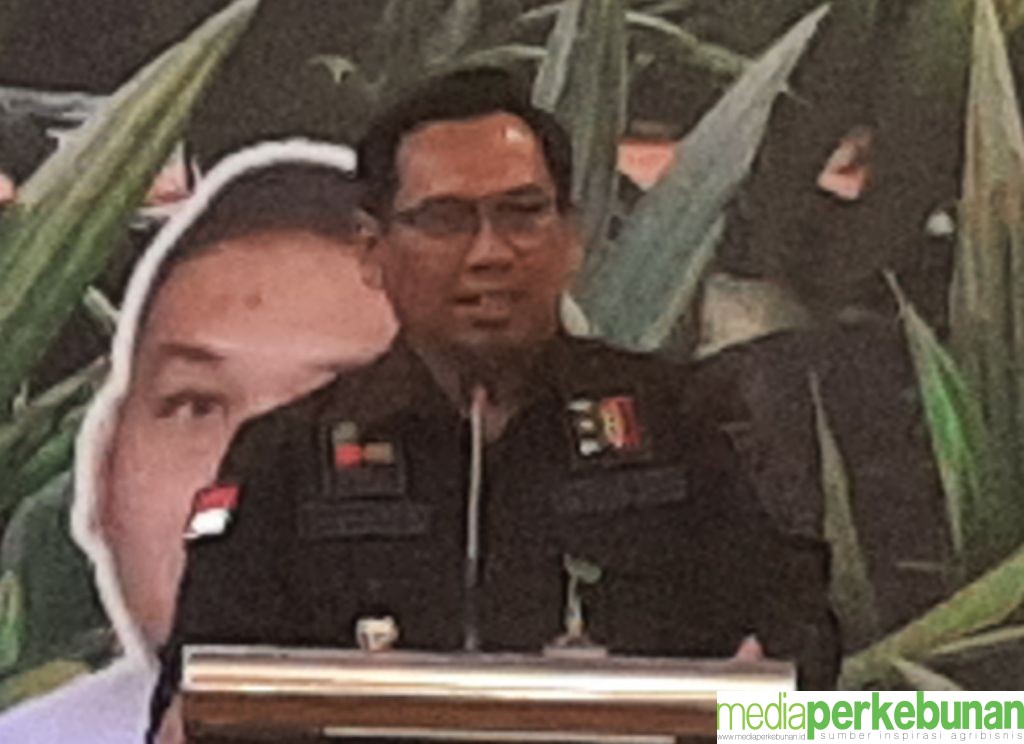 Kementan Tertibkan Peredaran Benih Sawit Online