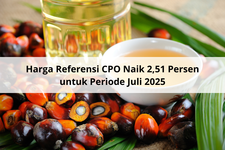 Harga Referensi CPO Naik 2,51 Persen untuk Periode Juli 2025