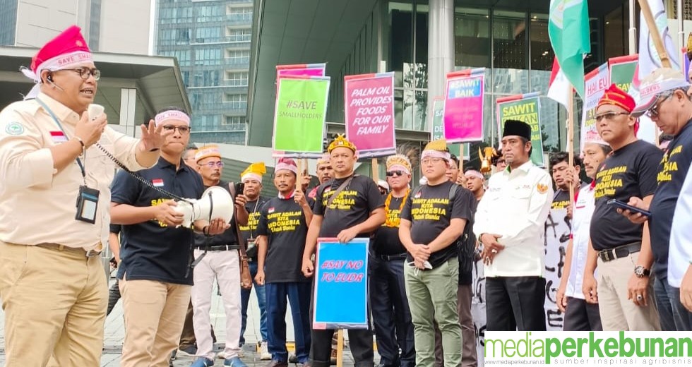 AKSI KEPRIHATINAN PETANI SAWIT INDONESIA HADAPI REGULASI UNI EROPA