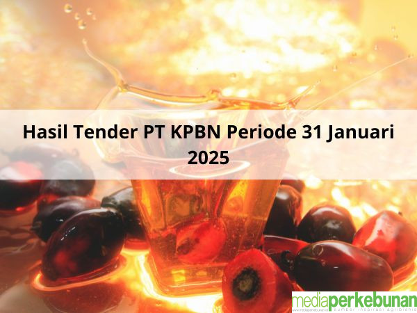 Hasil Tender PT KPBN Periode 31 Januari: Full Senyum Memasuki Februari 2025