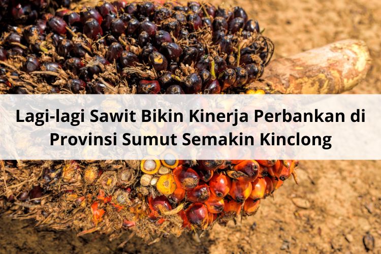 Lagi-lagi Sawit Bikin Kinerja Perbankan di Provinsi Sumut Semakin Kinclong