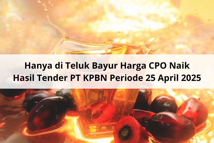 Hanya di Teluk Bayur Harga CPO Naik Hasil Tender PT KPBN Periode 25 April 2025