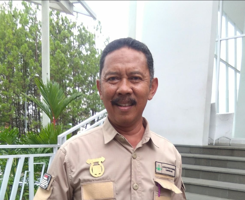 KOPI DONGKRAK EKONOMI PEDESAAN GARUT