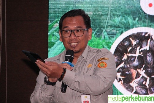 Ditjenbun Perbaiki Ekosistem Benih Perkebunan