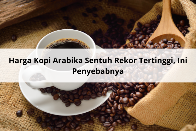 Harga Kopi Arabika Sentuh Rekor Tertinggi, Ini Penyebabnya