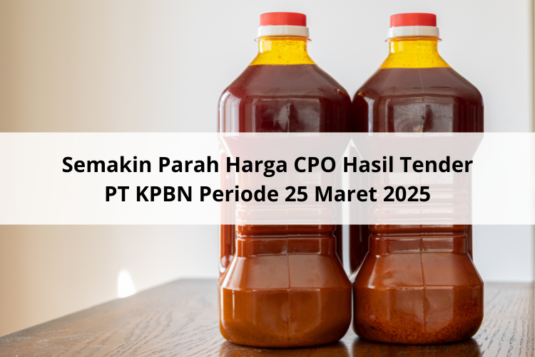 Semakin Parah Harga CPO Hasil Tender PT KPBN Periode 25 Maret 2025