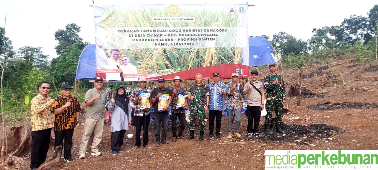 Kementan Ciptakan Varietas Unggul, Bersama UGM dan IPB Dukung Program Kesatria