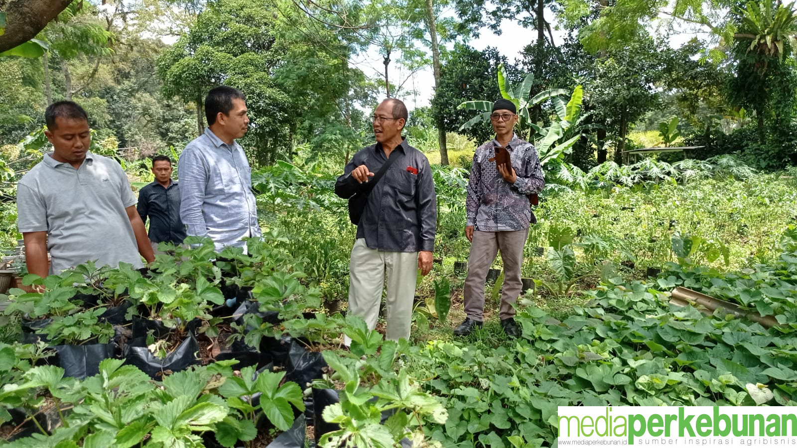 P3PI LATIH ANGGOTA ASPEKPIR BANTEN PERTANIAN TERPADU