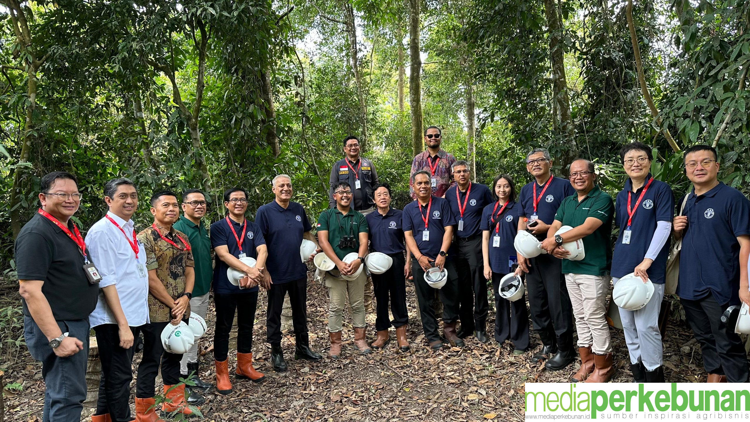 Kementan Ajak FAO, Bersama Tingkatkan Tata Kelola Perkebunan Kelapa Sawit Berkelanjutan