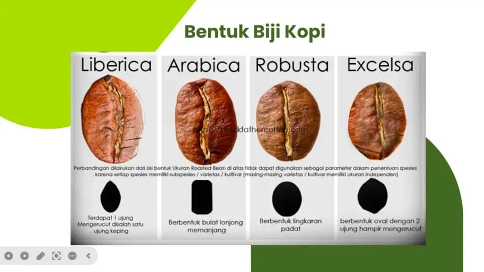 Cukup Aneh, Luas Perkebunan Bertambah tapi Produksi Kopi Turun