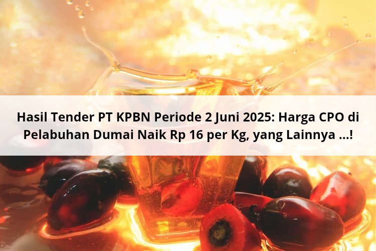 Hasil Tender PT KPBN Periode 2 Juni 2025: Harga CPO di Pelabuhan Dumai Naik Rp 16 per Kg, yang Lainnya …!