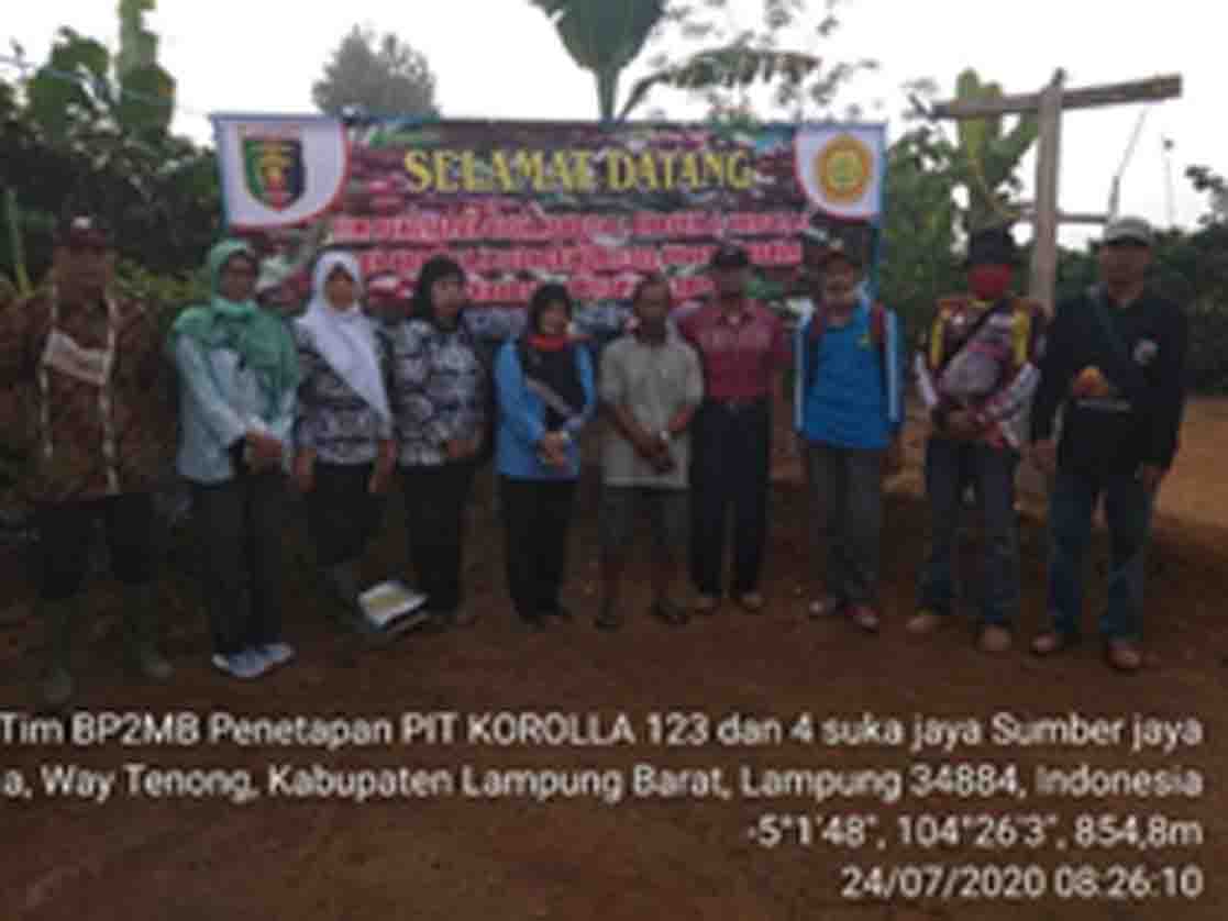 Penilaian dan Penetapan Sumber Benih Kopi Robusta Lampung (Korola)