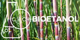 Anjlok Lebih dari Rp 2.500 per Liter HIP BBN Bioetanol Tebu Periode Juli 2025