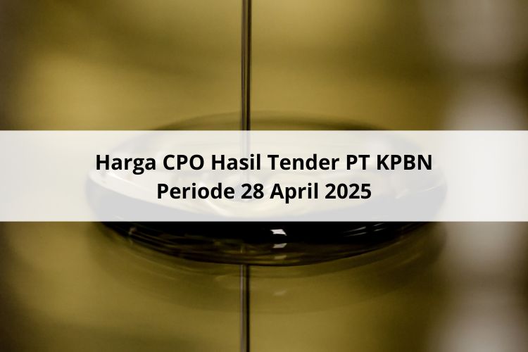 WD dan Ambruk Harga CPO Hasil Tender PT KPBN Periode 28 April 2025