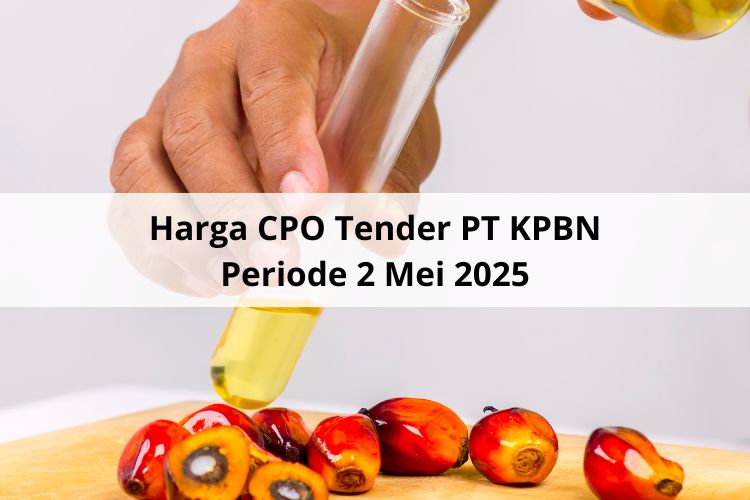 Tender PT KPBN Periode 2 Mei 2025: WD Lagi Harga CPO Usai Hari Buruh