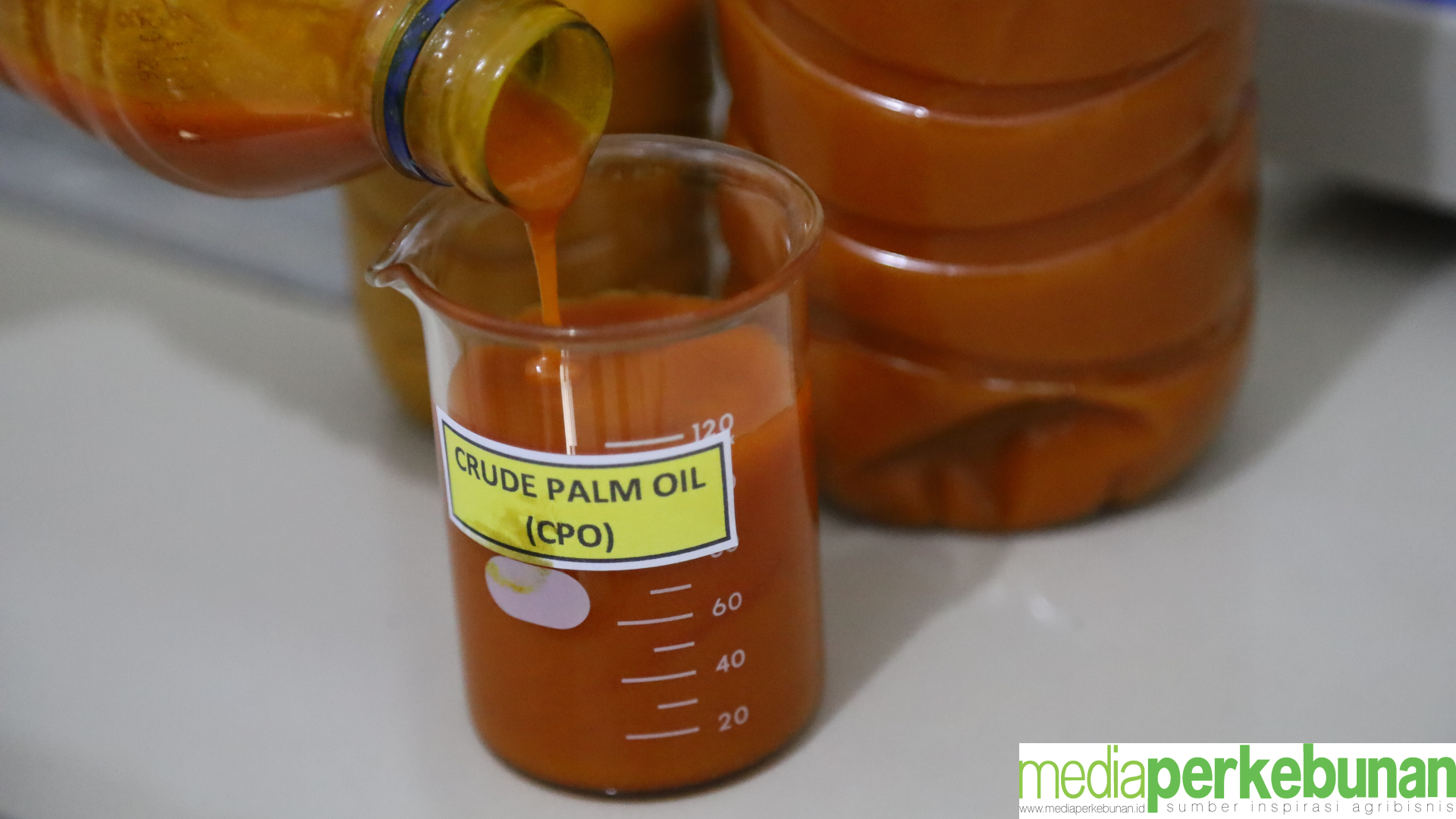Begini Rumus Perhitungan Harga Referensi CPO untuk Periode April 2025