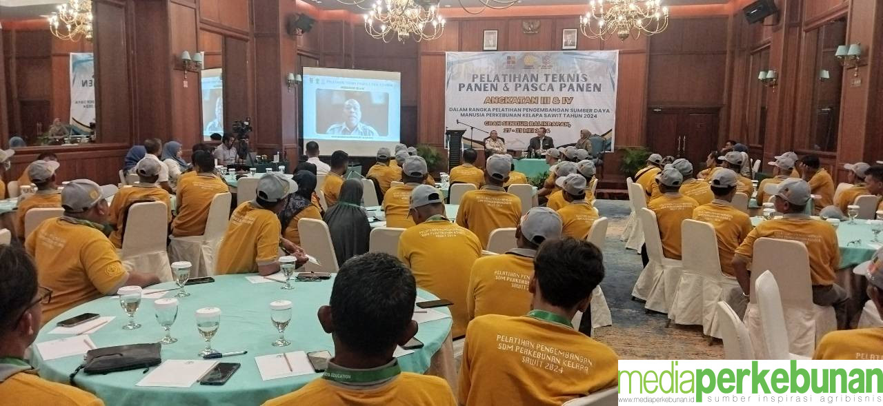 Pengembangan SDM Sawit BPDPKS dan Ditjenbun Diikuti 70 Petani Paser